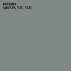 #818984 - Gunsmoke Color Image