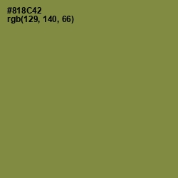 #818C42 - Clay Creek Color Image