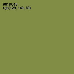 #818C45 - Clay Creek Color Image