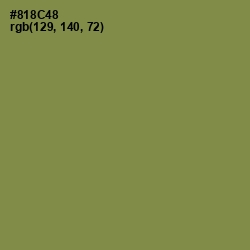 #818C48 - Clay Creek Color Image