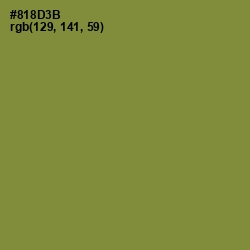 #818D3B - Sycamore Color Image