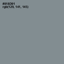 #818D91 - Oslo Gray Color Image