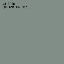 #818E88 - Gunsmoke Color Image