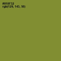 #818F32 - Sycamore Color Image
