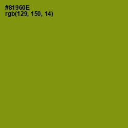 #81960E - Olive Color Image