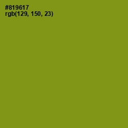 #819617 - Hacienda Color Image