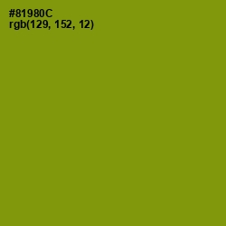#81980C - Olive Color Image