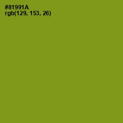 #81991A - Hacienda Color Image