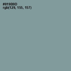 #819B9D - Regent Gray Color Image