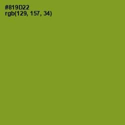 #819D22 - Sycamore Color Image