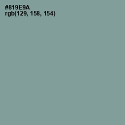 #819E9A - Regent Gray Color Image