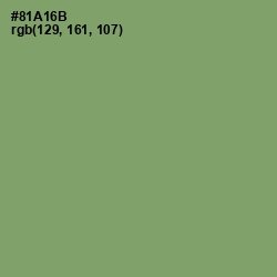 #81A16B - Olivine Color Image