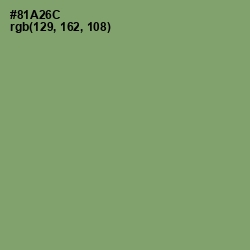 #81A26C - Olivine Color Image