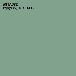 #81A38D - Envy Color Image