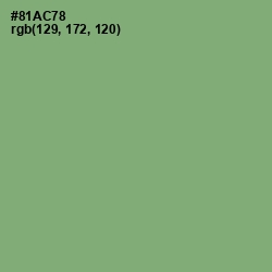 #81AC78 - Olivine Color Image