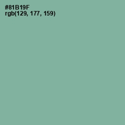 #81B19F - Envy Color Image