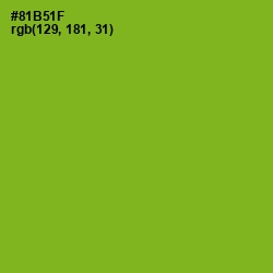 #81B51F - Citron Color Image
