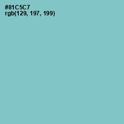 #81C5C7 - Half Baked Color Image