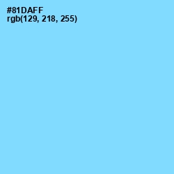 #81DAFF - Seagull Color Image