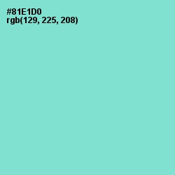 #81E1D0 - Riptide Color Image