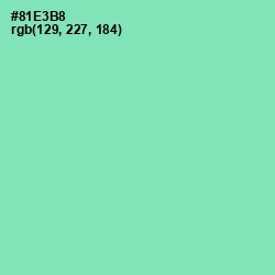 #81E3B8 - Algae Green Color Image