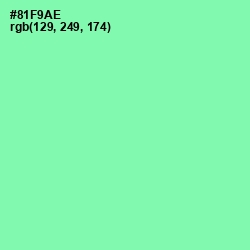 #81F9AE - Mint Green Color Image