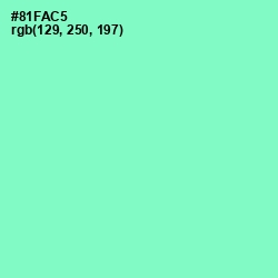 #81FAC5 - Riptide Color Image