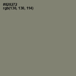 #828272 - Bandicoot Color Image
