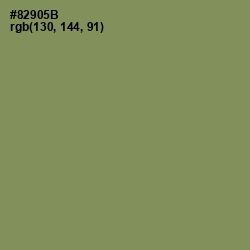 #82905B - Avocado Color Image