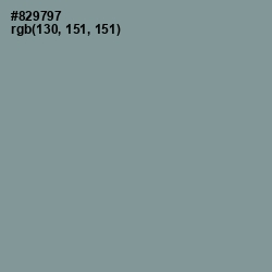 #829797 - Regent Gray Color Image