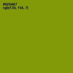 #829A07 - Olive Color Image