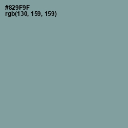 #829F9F - Regent Gray Color Image