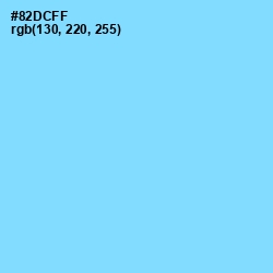#82DCFF - Seagull Color Image