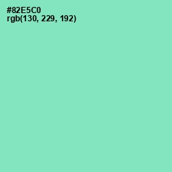 #82E5C0 - Riptide Color Image
