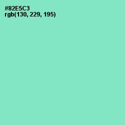 #82E5C3 - Riptide Color Image