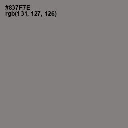 #837F7E - Hurricane Color Image