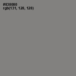 #838080 - Gray Color Image