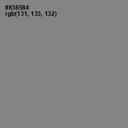 #838584 - Gunsmoke Color Image