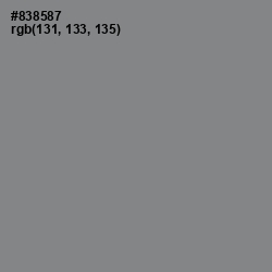 #838587 - Gunsmoke Color Image