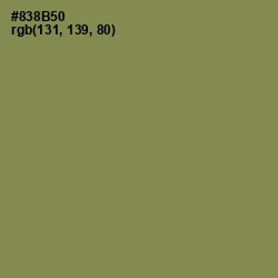 #838B50 - Clay Creek Color Image