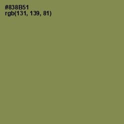 #838B51 - Clay Creek Color Image