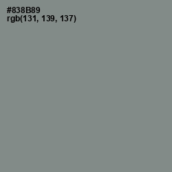 #838B89 - Gunsmoke Color Image