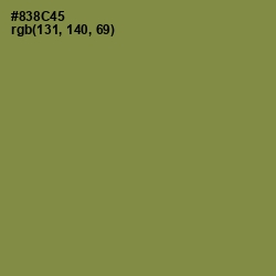 #838C45 - Clay Creek Color Image