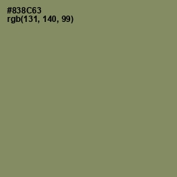 #838C63 - Avocado Color Image