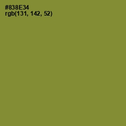 #838E34 - Sycamore Color Image