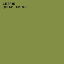 #838F45 - Clay Creek Color Image