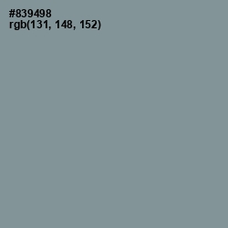 #839498 - Regent Gray Color Image