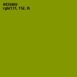 #839800 - Olive Color Image