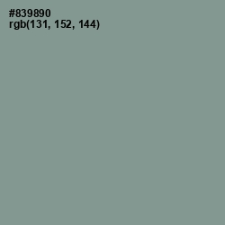 #839890 - Mantle Color Image