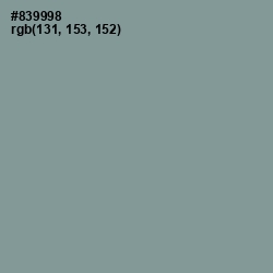 #839998 - Regent Gray Color Image